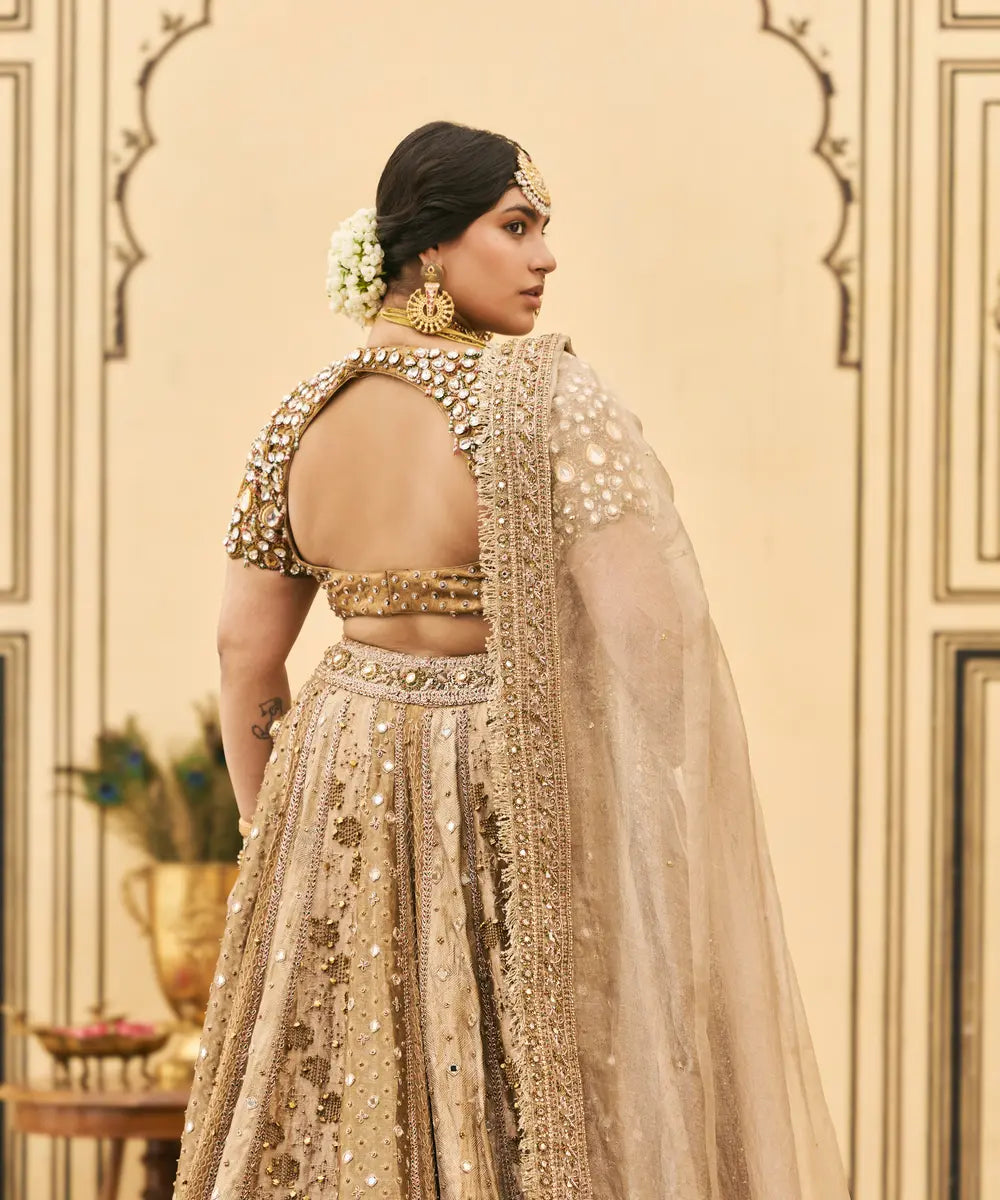 Suvarnarang Tissue Brocade Lehenga Set