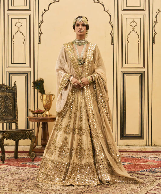 Sunehra Tissue Lehenga Set
