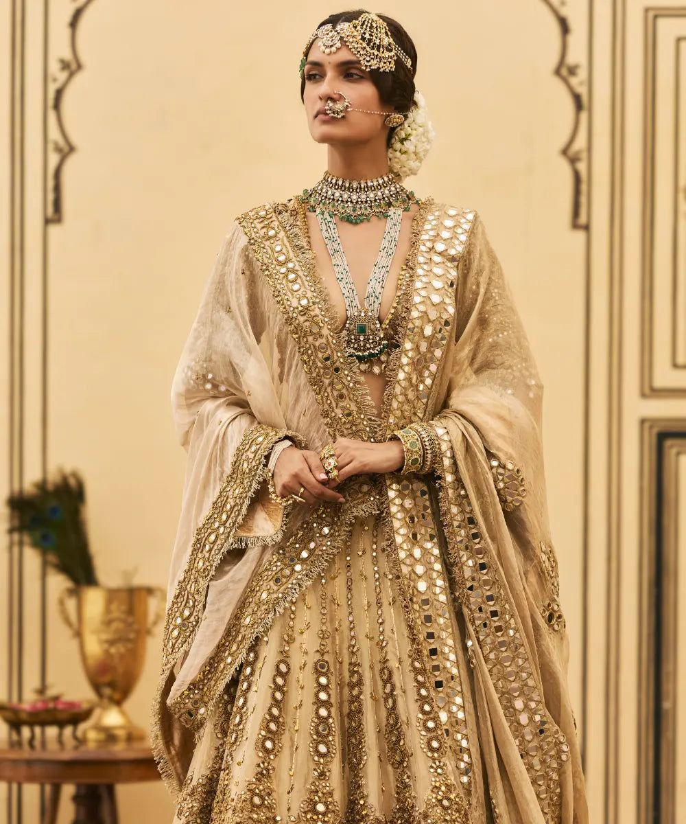 Sunehra Tissue Lehenga Set