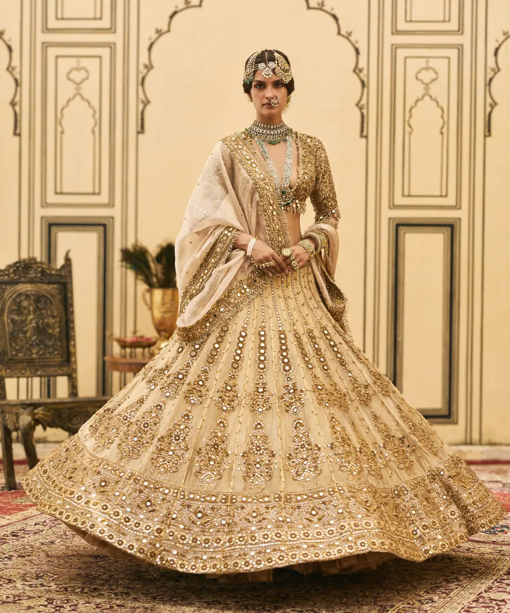 Sunehra Tissue Lehenga Set