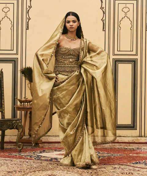Pallavi Jadaau Corset Saree Set