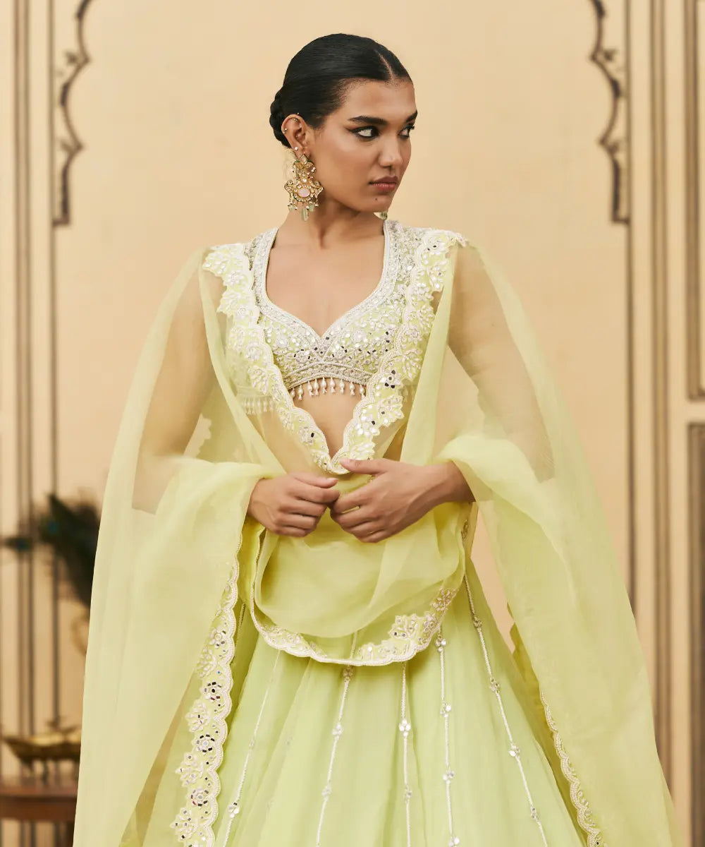 Pudina Organza Lehenga Set