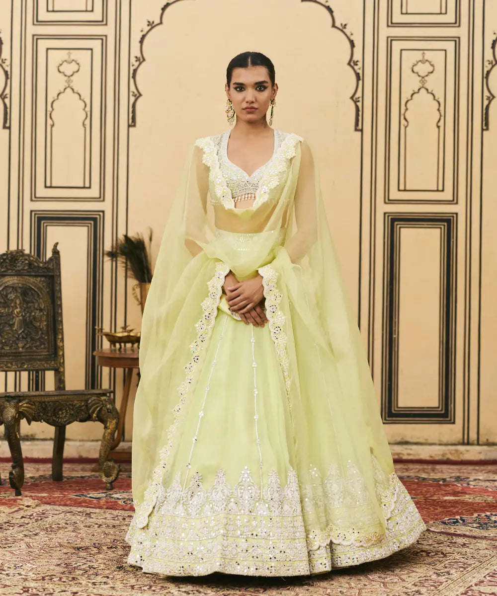 Pudina Organza Lehenga Set
