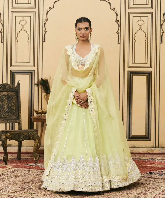 Pudina Organza Lehenga Set