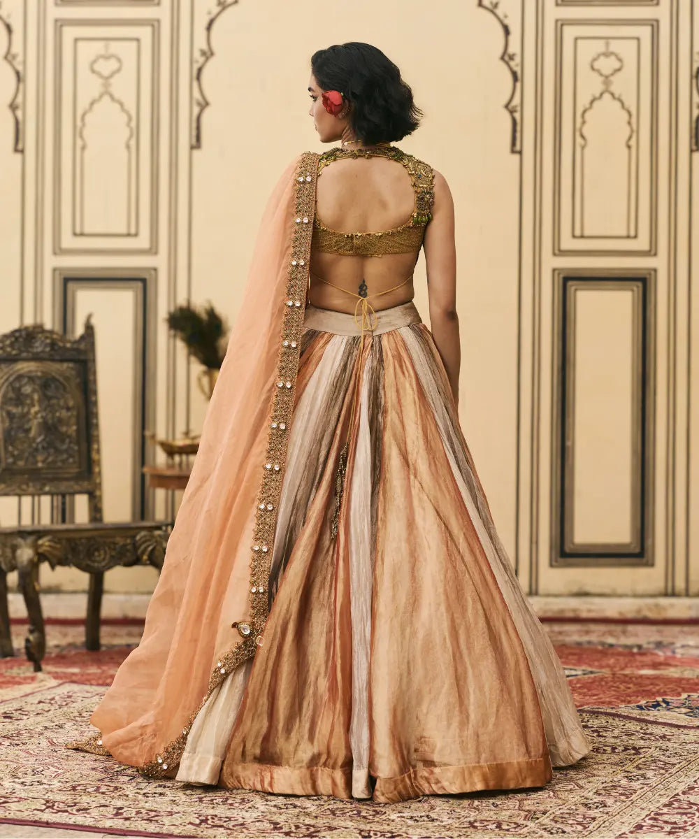 Rangbahar Tissue Brocade Lehenga Set