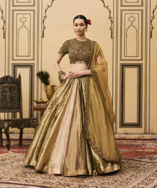 Rangoli Tissue Brocade Lehenga