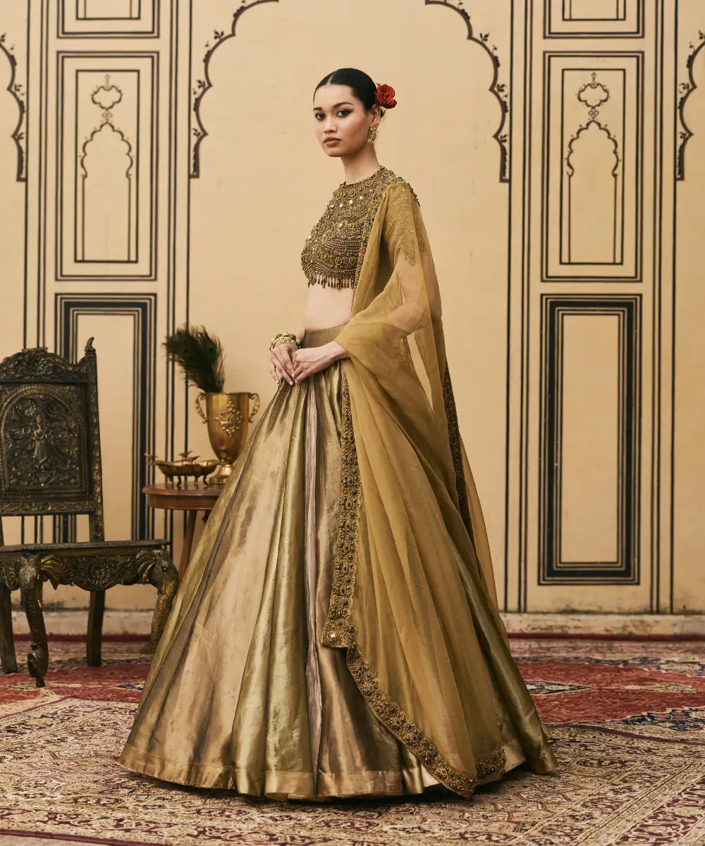 Rangoli Tissue Brocade Lehenga
