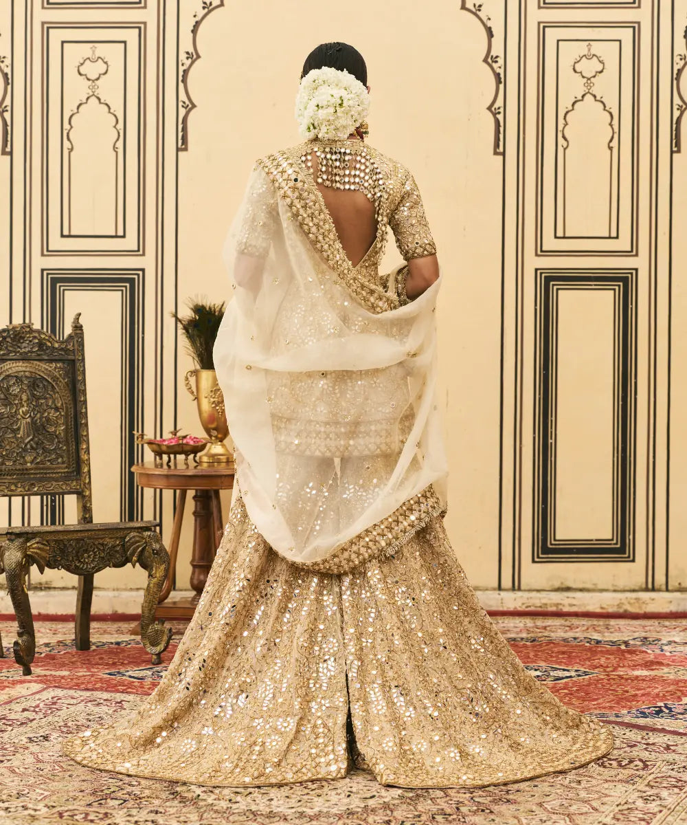 Fawn Organza Garara Set