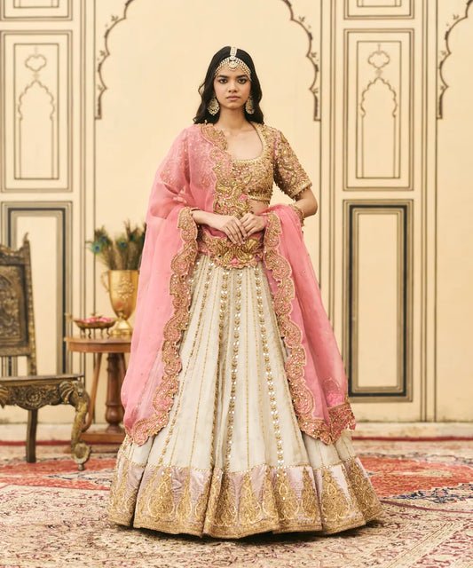 Gulabi-Rajat Tissue Lehenga Set