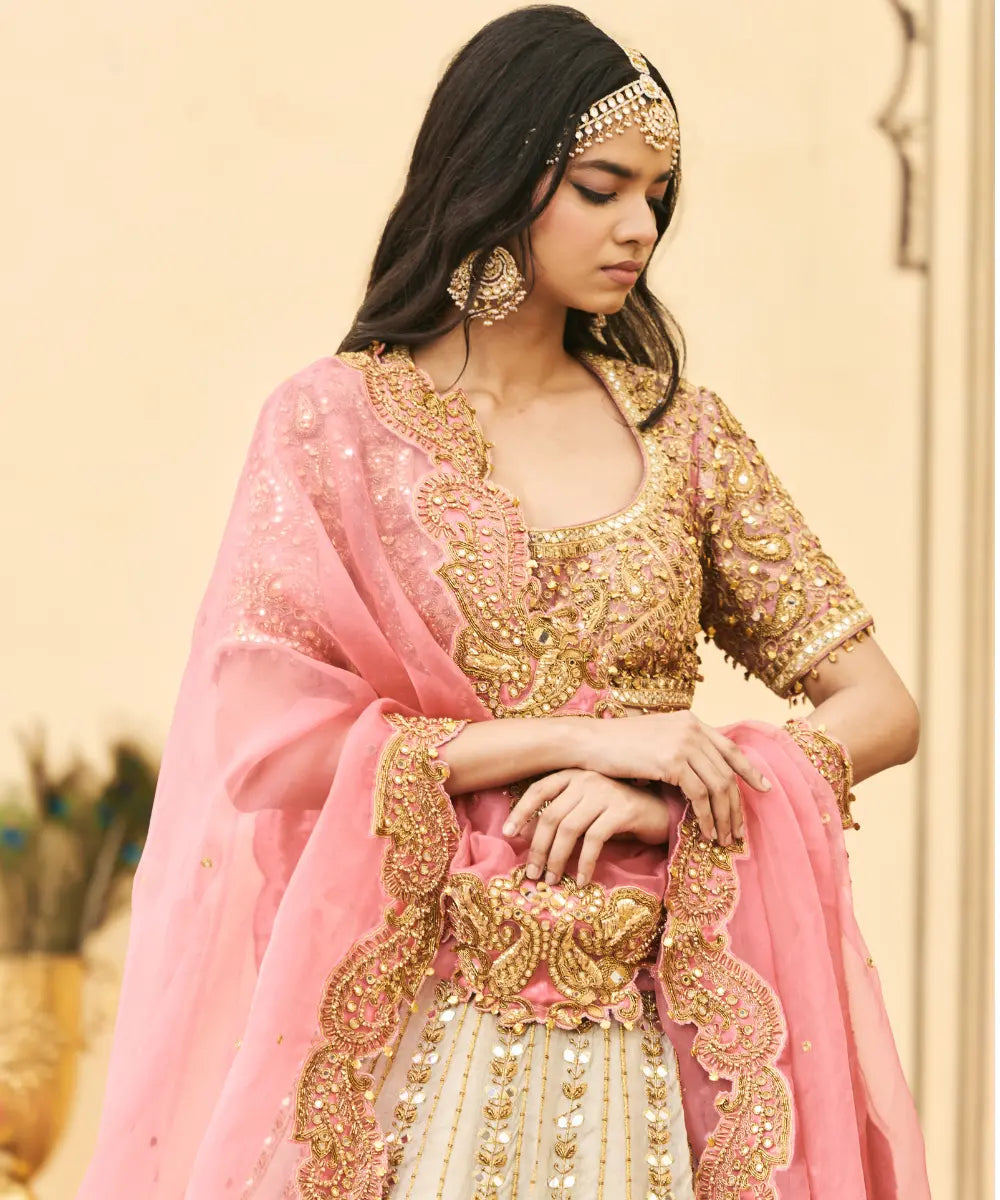 Gulabi-Rajat Tissue Lehenga Set