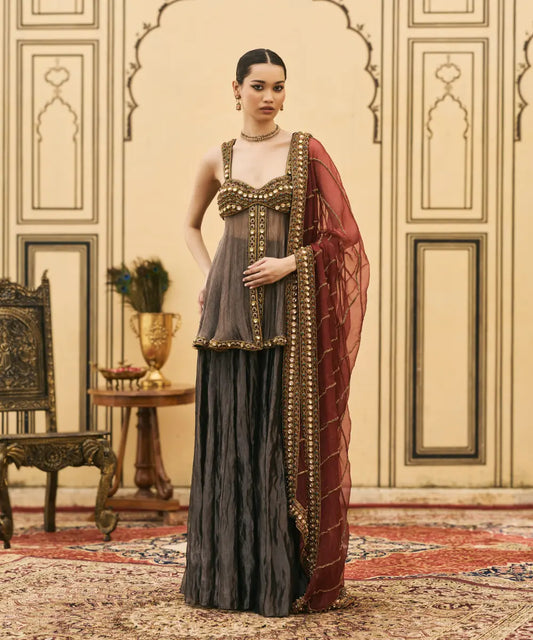 Neel-Shyam Tissue Organza Sharara Set