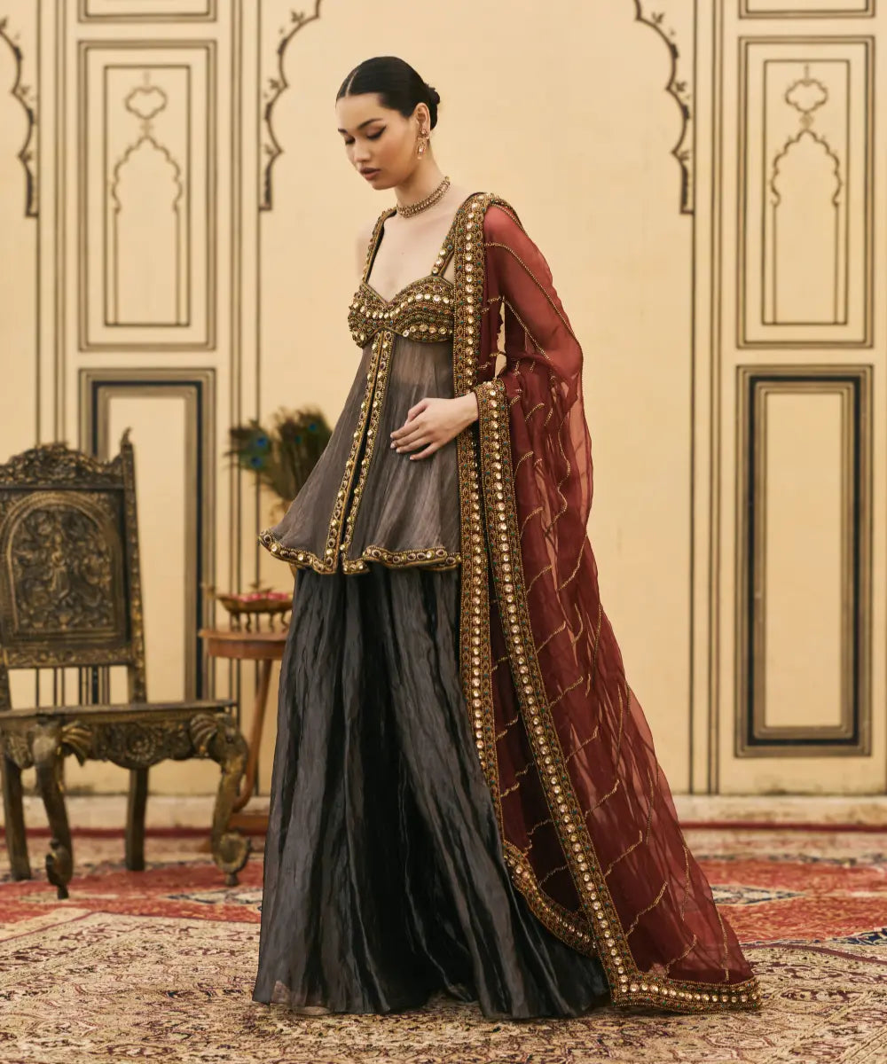 Neel-Shyam Tissue Organza Sharara Set