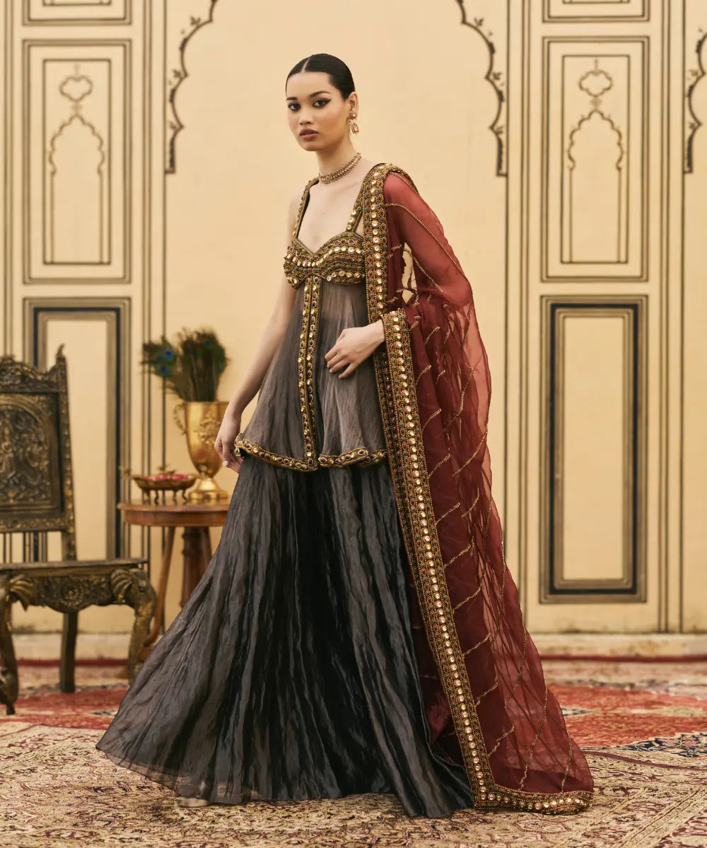 Neel-Shyam Tissue Organza Sharara Set