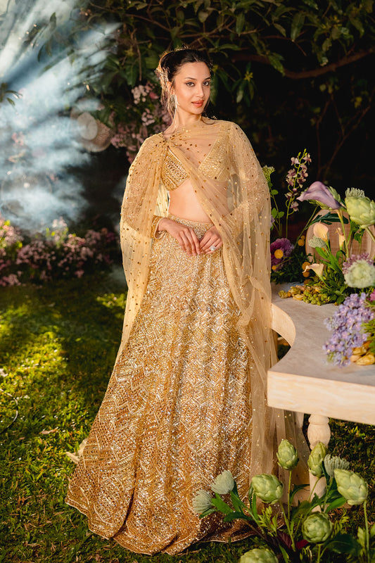 Golden Reverie Lehenga Set