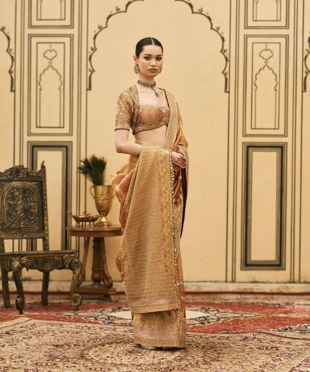 Tamra Tissue Saree Set