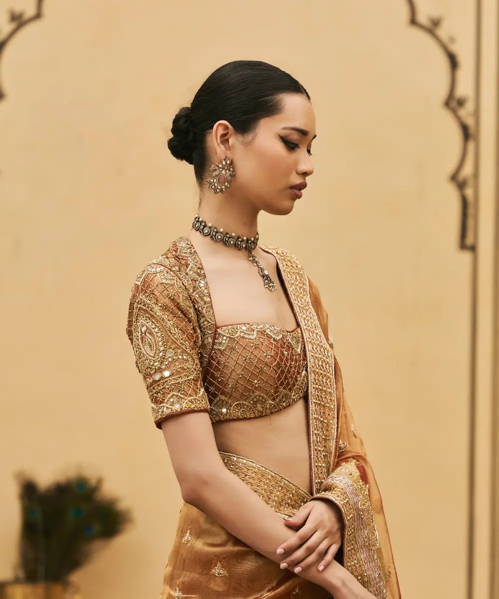 Tamra Tissue Saree Set