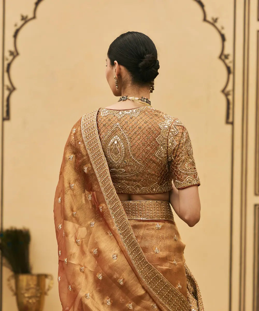 Tamra Tissue Saree Set
