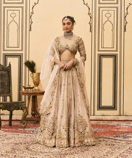 Maang Tika Tissue Lehenga Set