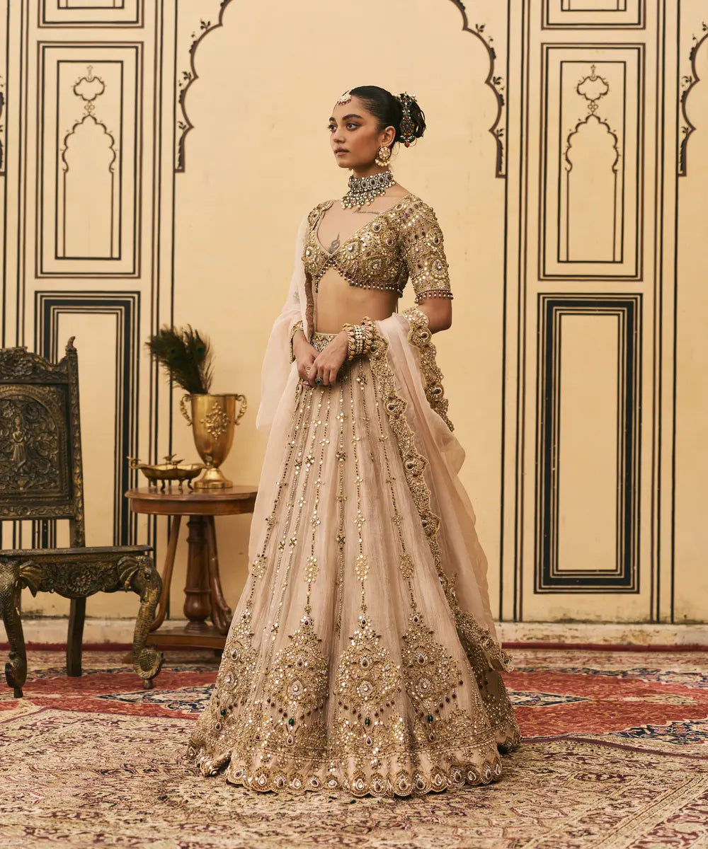 Maang Tika Tissue Lehenga Set