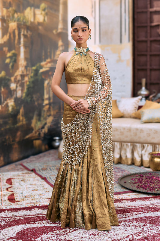 Mandira Lehenga Set