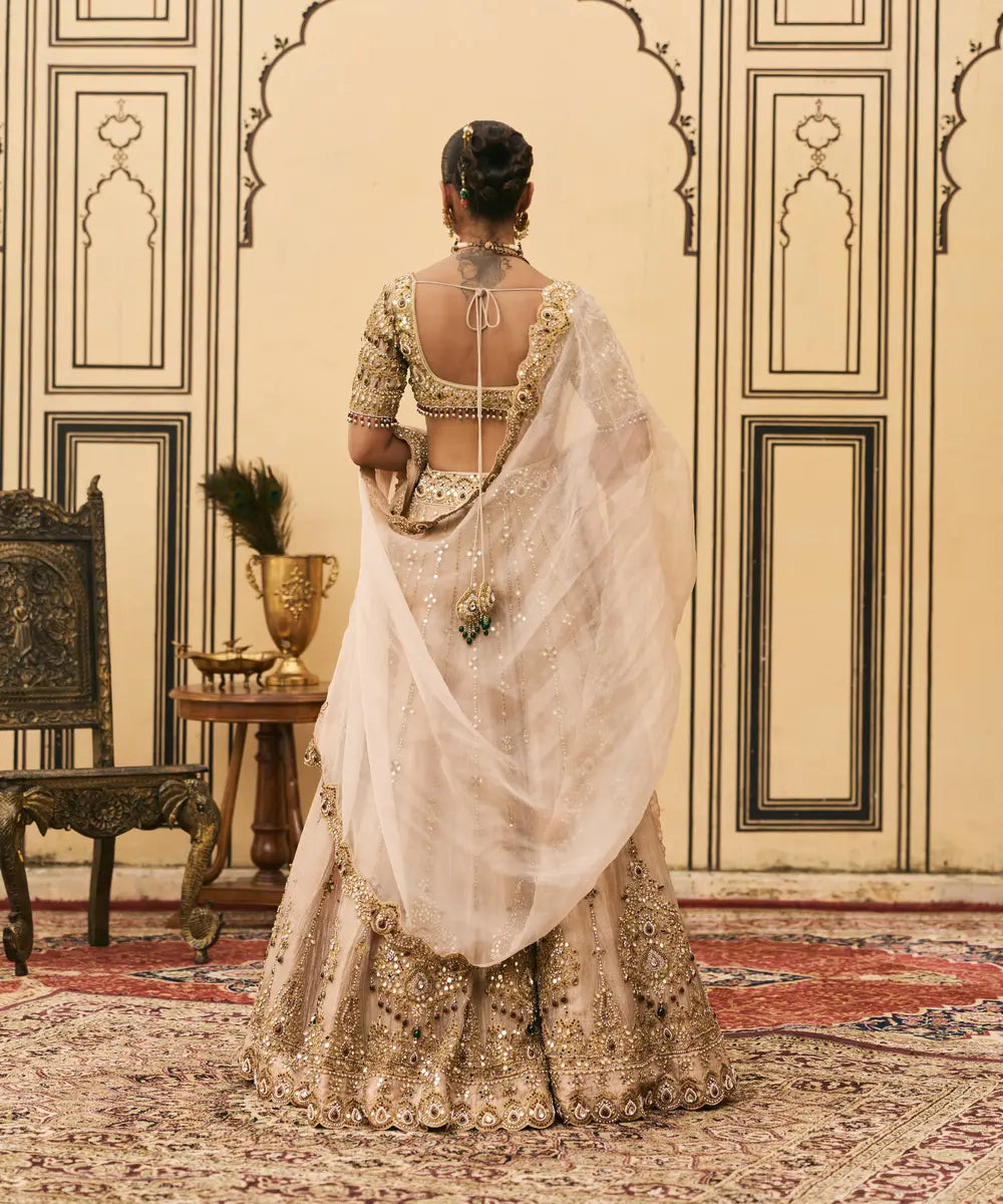 Maang Tika Tissue Lehenga Set