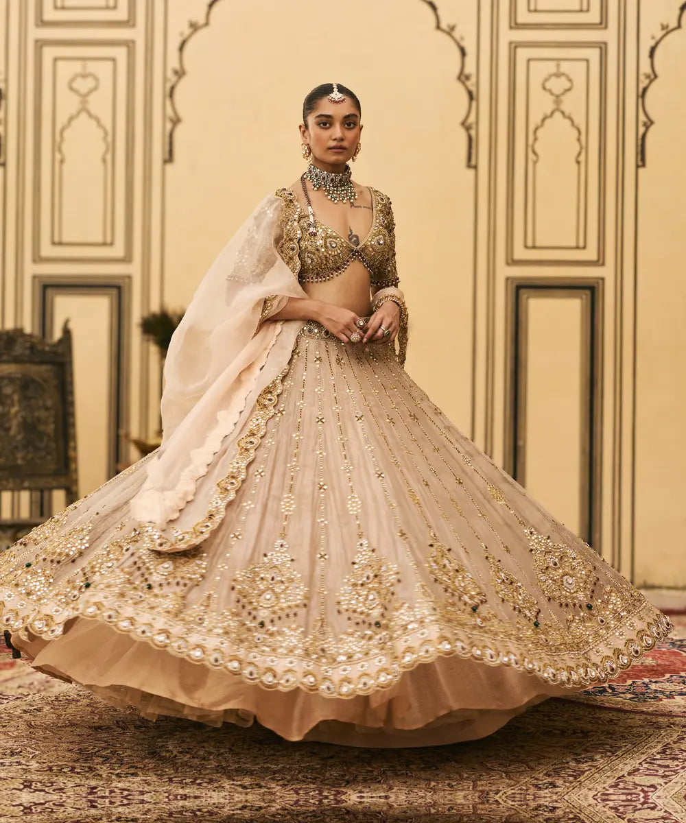 Maang Tika Tissue Lehenga Set