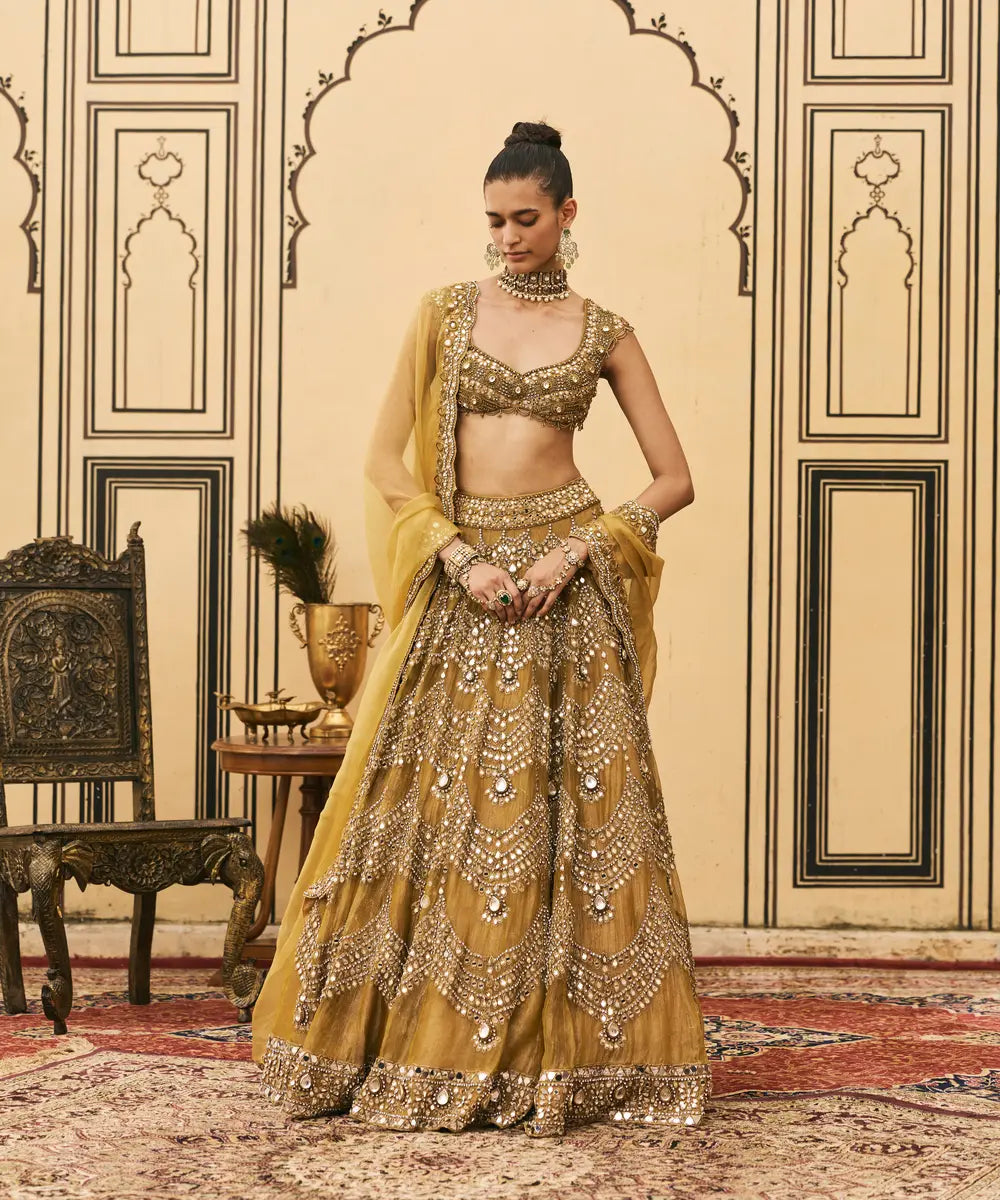 Sarson Tissue Lehenga Set