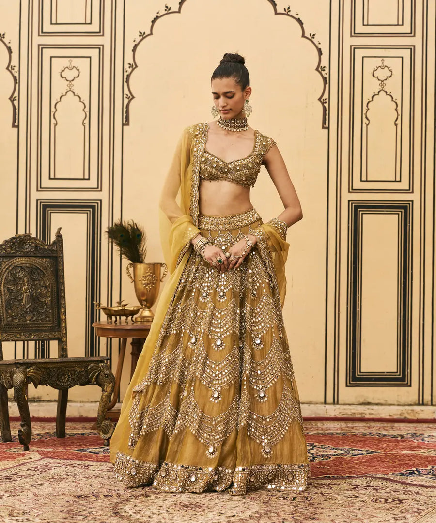 Sarson Tissue Lehenga Set
