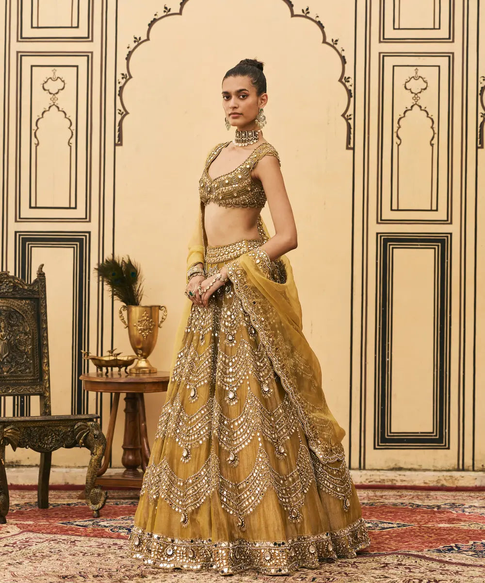 Sarson Tissue Lehenga Set