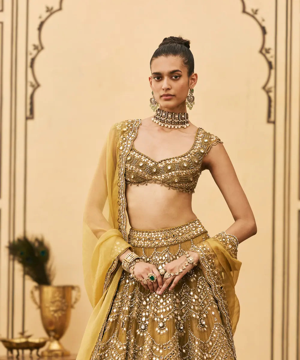 Sarson Tissue Lehenga Set