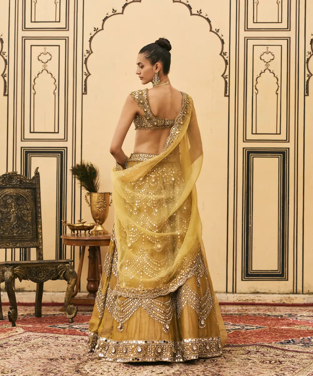 Sarson Tissue Lehenga Set