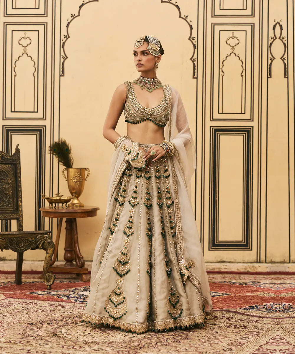 Rajat Paasa Tissue Lehenga Set