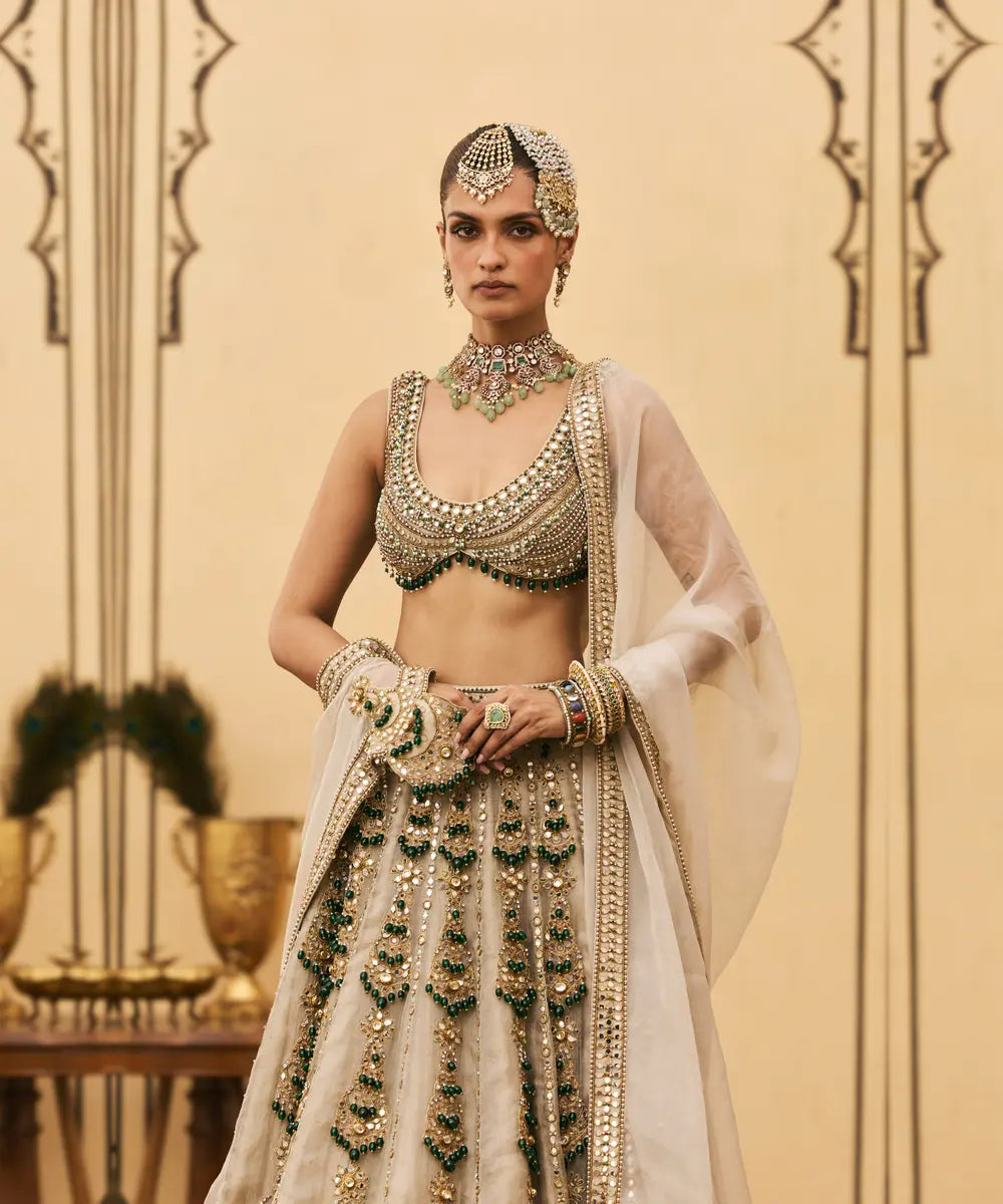 Rajat Paasa Tissue Lehenga Set
