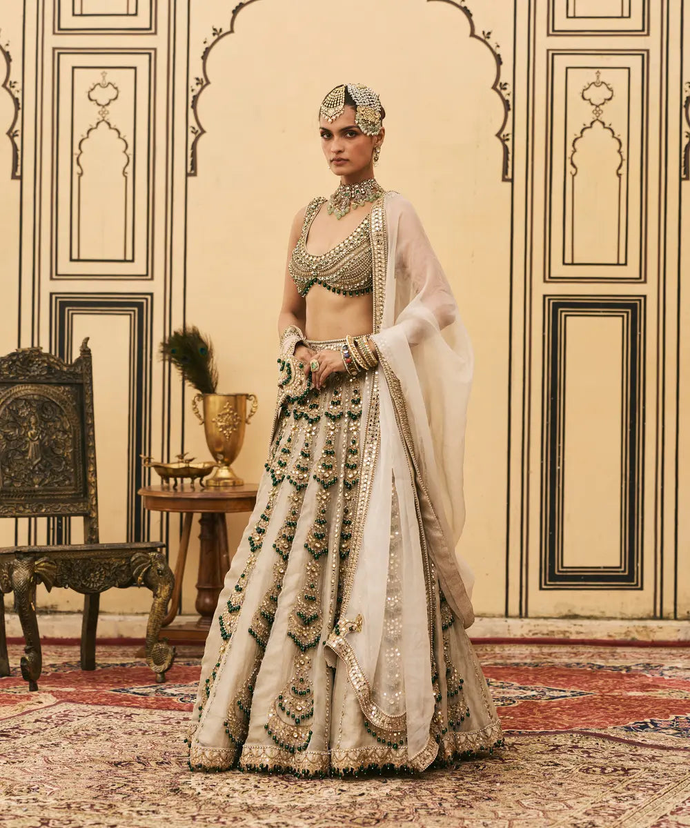 Rajat Paasa Tissue Lehenga Set