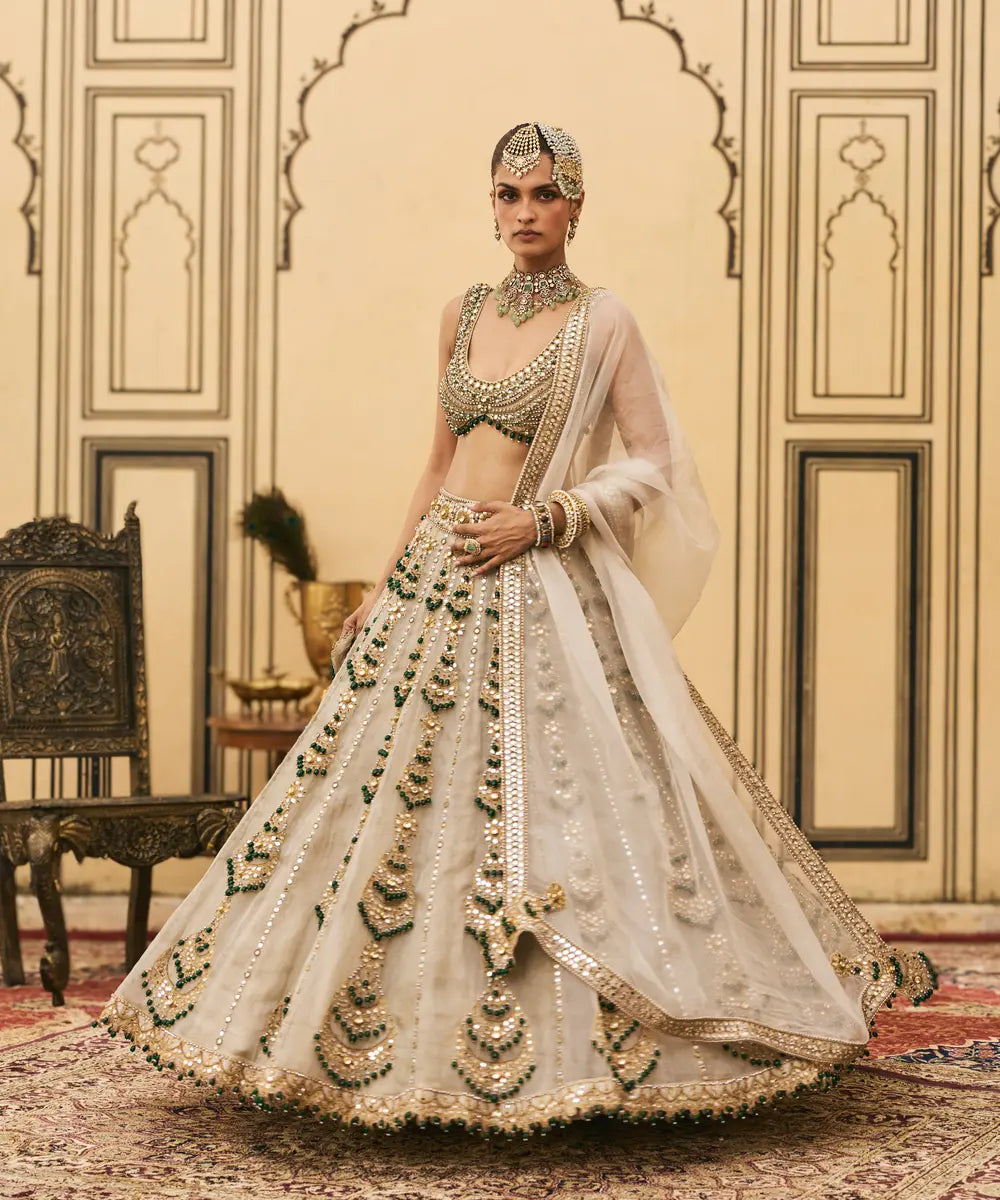 Rajat Paasa Tissue Lehenga Set