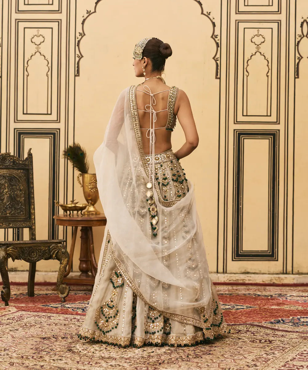 Rajat Paasa Tissue Lehenga Set
