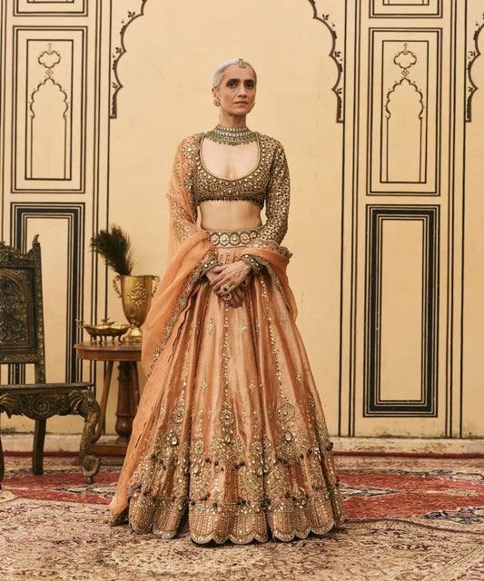 Chaand Baali Tissue Lehenga Set