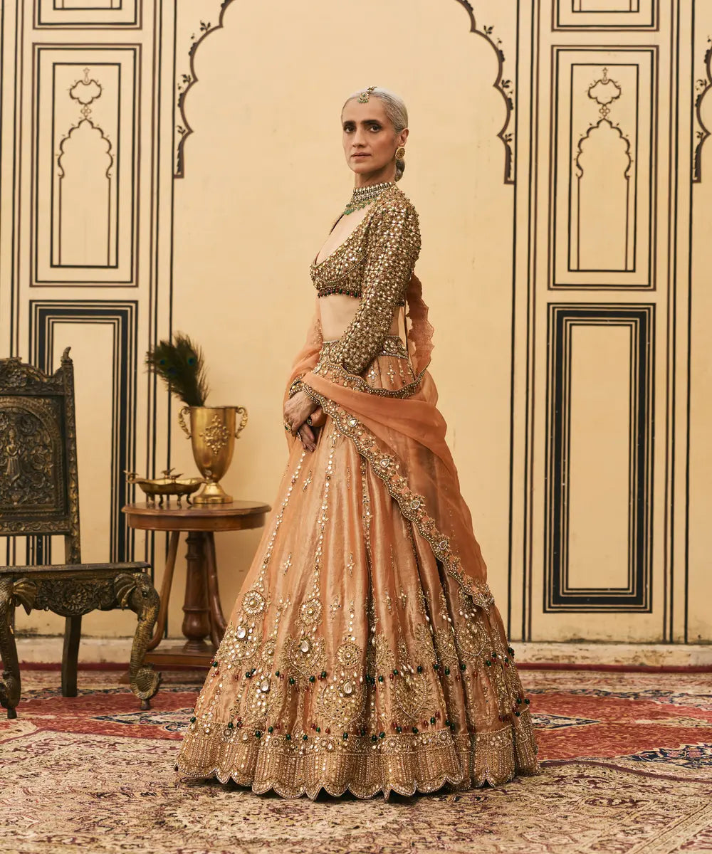 Chaand Baali Tissue Lehenga Set