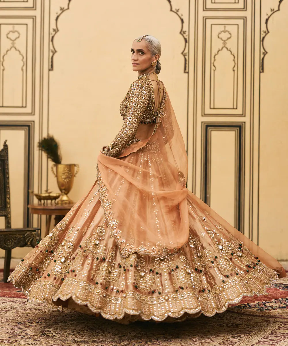 Chaand Baali Tissue Lehenga Set