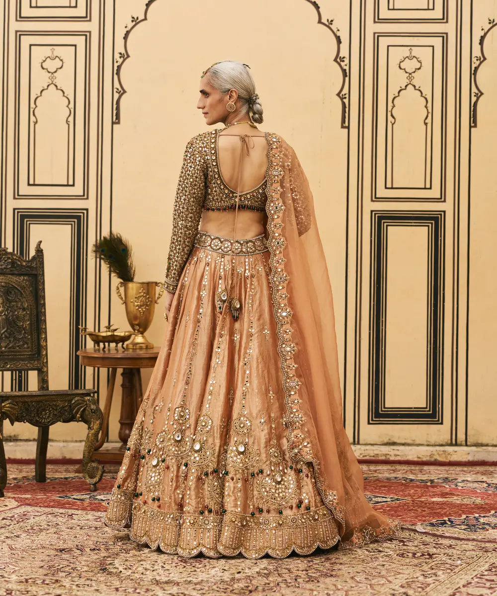 Chaand Baali Tissue Lehenga Set