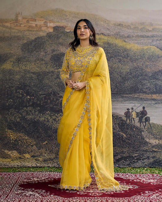 Peela Tara Organza Saree Set