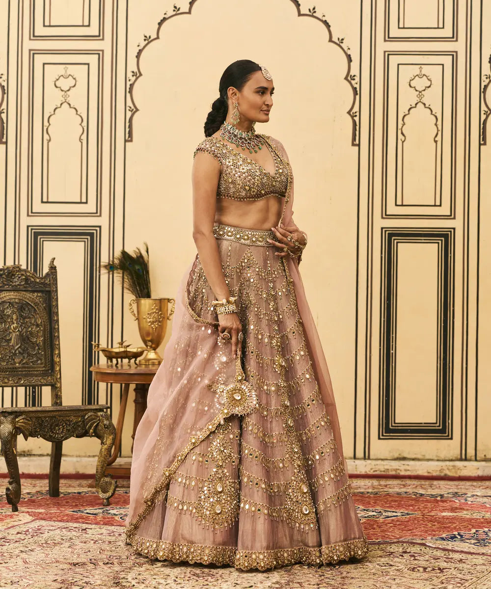 Raani Haar Tissue Lehenga Set