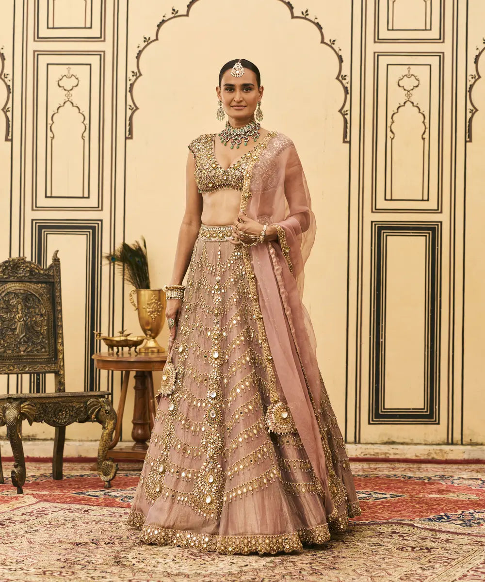 Raani Haar Tissue Lehenga Set