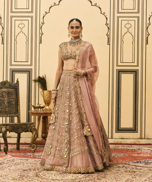 Raani Haar Tissue Lehenga Set