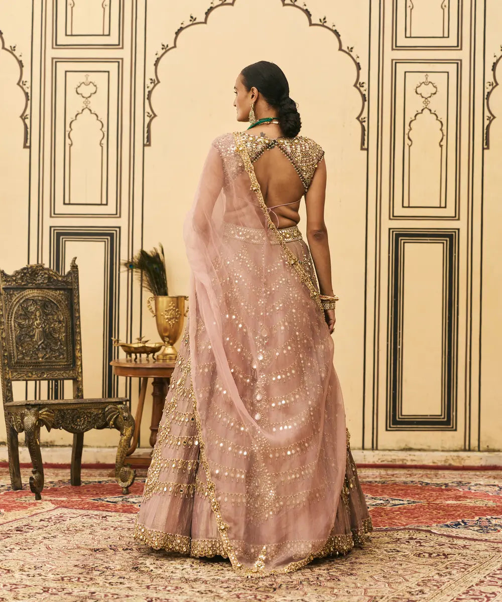 Raani Haar Tissue Lehenga Set