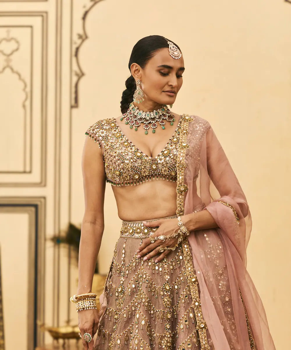 Raani Haar Tissue Lehenga Set