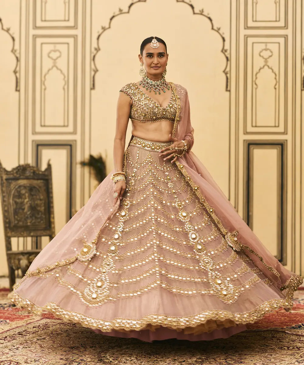 Raani Haar Tissue Lehenga Set