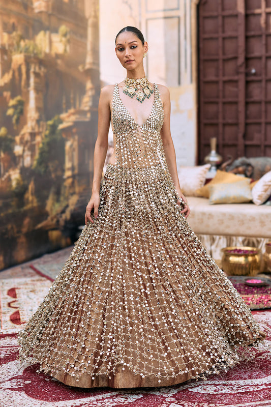 Titeeksha Lehenga Set