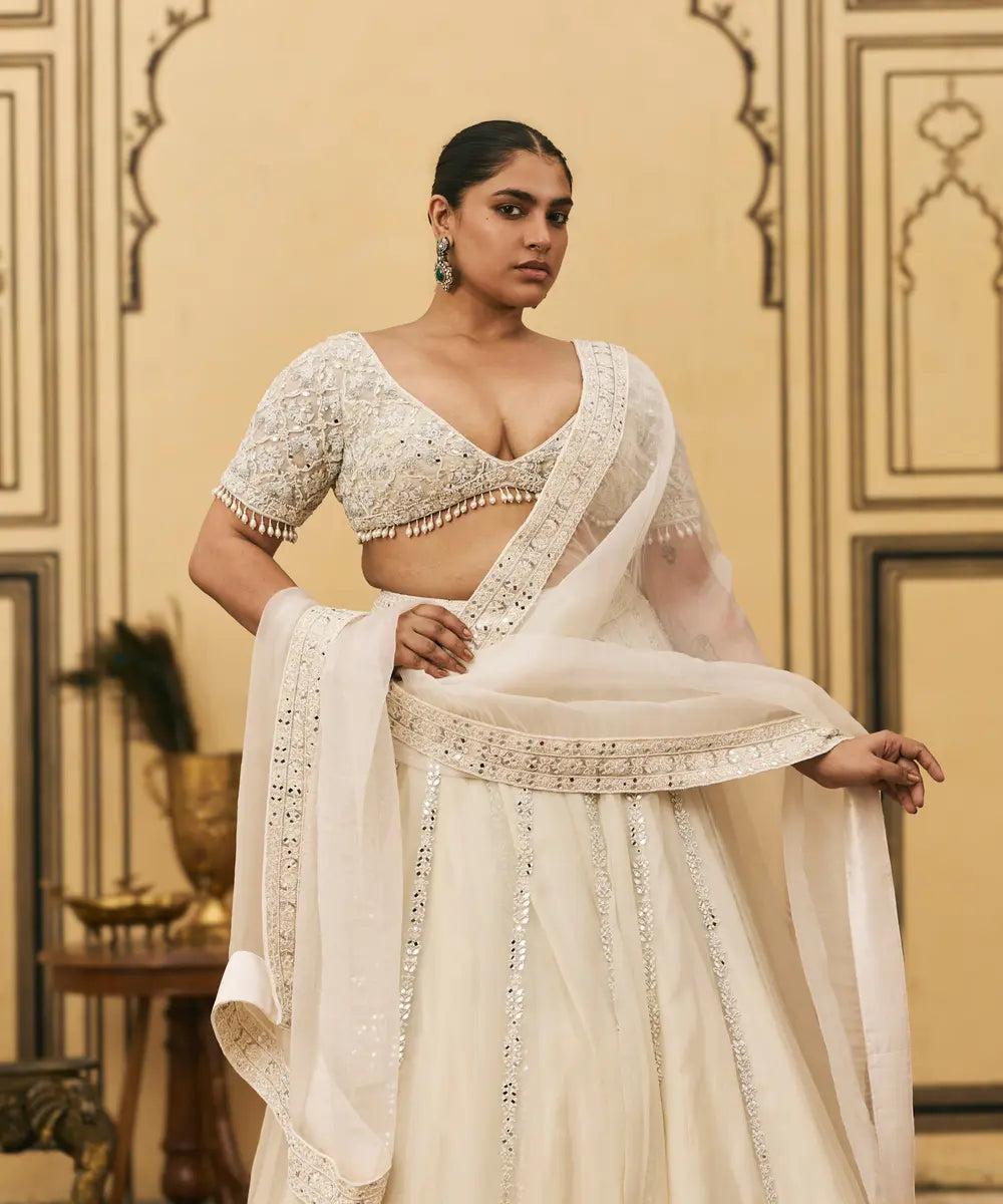 Haathidant Organza Lehenga Set