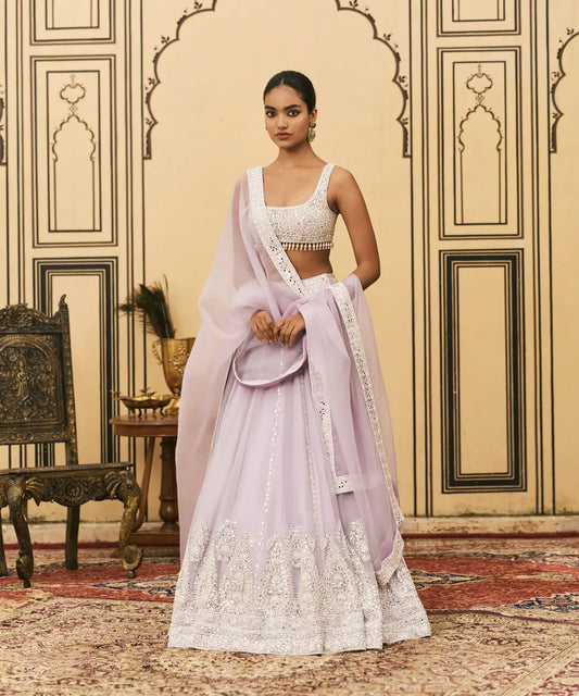Baingani Organza Lehenga Set
